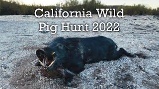 Hunting and Butchering My First Wild Pig in California [upl. by Tena]