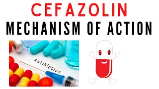 Cefazolin  Uses mechanism of action [upl. by Elpmet862]