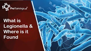 What is Legionella and Where is it Found [upl. by Ssilb201]