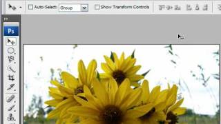 Adjust Image Resolution in Photoshop CS3 [upl. by Beane]