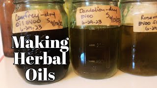 Homemade Oregano Oil Your Pantrys HealthBoosting Secret [upl. by Lutero]