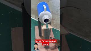 Ideas for rattrap at home rattrap rat bucketmousetrap mousetrap rattletrap mouse animals [upl. by Tutto]