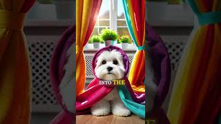 The Laser Pointer Panic  A Hilarious Chase with a Puppy Cat and Dog 🎯🐶🐱🐕  cute funny pets [upl. by Asyle]