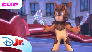 PJ Masks Power Heroes  Moth Boy  disneyjr x PJMasksOfficial [upl. by Behn207]