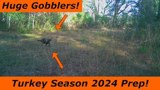 Preparing For The 2024 Turkey Season HUGE GOBBLERS On Camera Spring Turkey Hunting [upl. by Noramac]