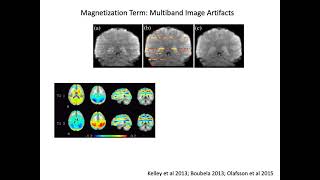 Biophysical Basis of fMRI Noise [upl. by Norford]