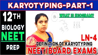 What is Karyotyping Definition of karyotypingClass 12Biology simplified CBSE TNSCERT [upl. by Blakely]