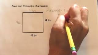 How to find the Area and Perimeter of a Square [upl. by Erdnaet532]