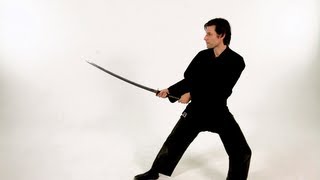 How to Do Seigan No Kamae Katana Stance  Sword Fighting [upl. by Aljan617]