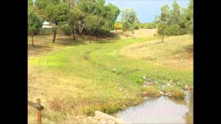 Curtis Road Wetland Launch 1 08 2013 [upl. by Enihpets202]