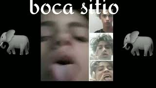 Vextre  Diss Brocasito 2  mulher do broca e um elefante  feat Juugsito [upl. by Urissa47]