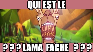 QUI EST LE LAMA FACHE  REEL [upl. by Rollin844]