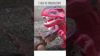 T Rex vs Triceratops [upl. by Larissa987]