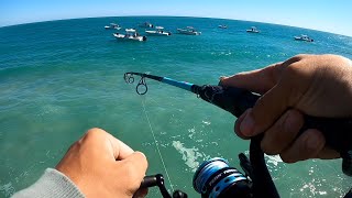 SEBASTIAN INLET FISHING  Catch and Cook [upl. by Nylauqcaj]