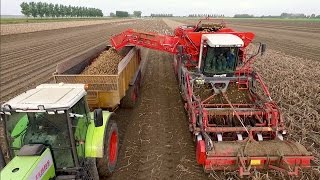 Potato Harvest  Cultivation and Ploughing  2x Claas Xerion  Dewulf Kwatro  akkerbouwbedrijf NIVU [upl. by Naitsabas]