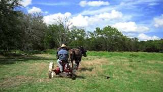 Horse Drawn Hay Mower [upl. by Leahcin257]