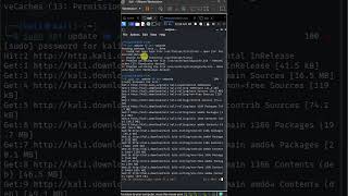 How to Update amp Upgrade Kali Linux [upl. by Raseda196]