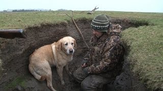 Wildfowling in Scotland [upl. by Sherborn]