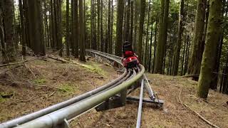 Fforest Coaster  Zip World [upl. by Piero]