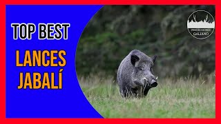 TOP BEST LANCES JABALÍ 20232024  TOP SHOT WILD PIG HUNTING [upl. by Haroppizt]