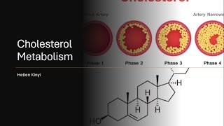 Cholesterol Metabolism [upl. by Eceinart]