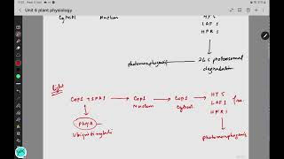 Plant photoreceptor  csirnet [upl. by Ainitsirc]