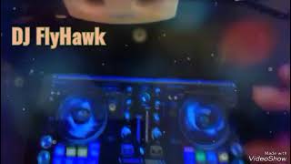 DJ FlyHawk quotEvolution quot Studio passion 2024 Music session [upl. by Bowra140]