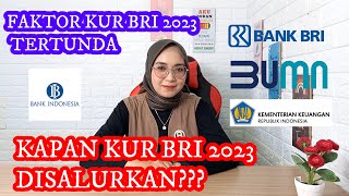 kreditusaharakyat Kapan KUR BRI 2023 Akan Dibuka Alasan Kenapa KUR BRI 2023 terlambat disalurkan [upl. by Kannav]