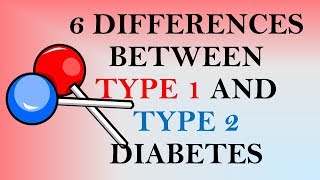 6 Differences Between Type 1 and Type 2 Diabetes [upl. by Emil]