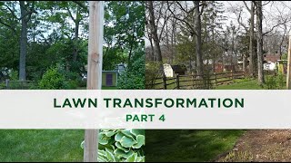 2024 Lawn Transformation  Part 4 [upl. by Ahrat]