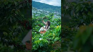 Fruits and fruits are various types shots youtubeshorts [upl. by Anawit]