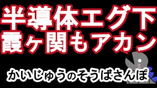 半導体エグ下げ 霞ヶ関もあかん そしてサンウェルズ配当未定スト安 全部くらうやん？ デイはIHI [upl. by Eerehc291]