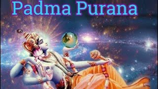 TRAILER OF PADMA PUARANA [upl. by Akinak]