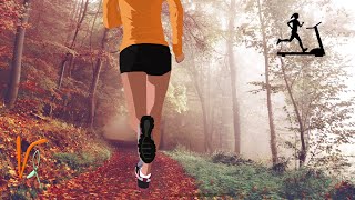 Virtueller Lauf 🏃🏼 für Laufband und Crosstrainer  Laufband Video  Weinberg  Intervall Training [upl. by Wight65]