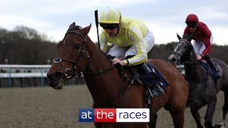 Too good Oh So Grand wins the Winter Oaks at Lingfield [upl. by Leahcin]