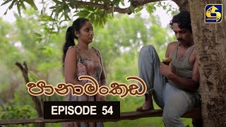 Panamankada Episode 54  පානාමංකඩ  29th January 2022 [upl. by Ahsiner]