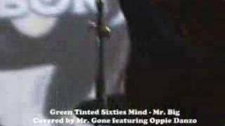 Green Tinted Sixties Mind  Mr Big Covered by Mr Gone [upl. by Kcire382]