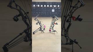 🏹 NEW Hoyt Bows RX8 amp Alpha X REVEALED at Archery Country Texas 🎯 hoytarchery rx8 alphax [upl. by Hamal]