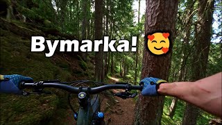 Bymarka Classics Pt 12 Tikneppen Gammelstien amp Lykkjestien  GoPro Labs [upl. by Esom669]