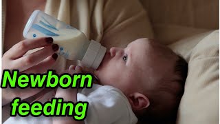 Newborn Feeding Procedure  Bottle Feeding  How To Feed Newborn Baby  Newborn Feeding In NICU [upl. by Season]