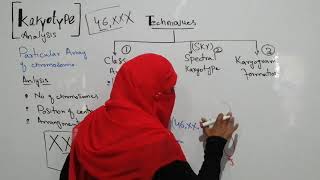 ADS  TOPIC KARYOTYPE ANALYSIS  SAMREEN FATIMA [upl. by Kilk700]