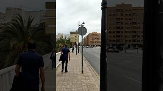 ☁️🌴 Valencia Avenida de Pérez Galdós  Avenue of Perez Galdos España  Spain 🇪🇦 [upl. by Sira]