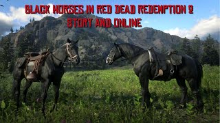 Black Horses Available in Red Dead Redemption 2 Story amp Online [upl. by Akiv]