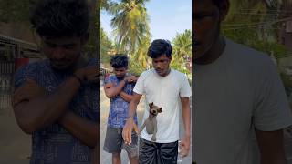 💥💖 kila vilunthathu ippadithan ga 😞❗️❓entertainment rajmindvoice tamil shorts [upl. by Hyman]