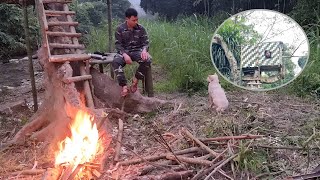 Build a survival shelter in a tree to avoid wild animals  Hut Bushcraft and steamed fish [upl. by Eimat634]