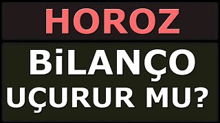 HOROZ LOJİSTİK  Hisse Bilançosu Analiz ve Yorumu [upl. by Aihseket836]