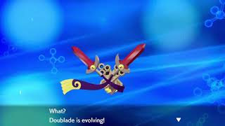 Pokemon sword amp shield evolving shiny doublade [upl. by Ettena]