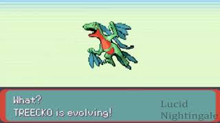 Pokemon Emerald Treecko Evolves to Grovyle and to Sceptile [upl. by Byrn]