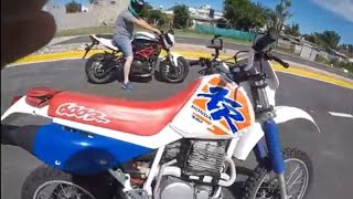 BENELLI TNT 600 VS HONDA XR 600 [upl. by Atrebla]