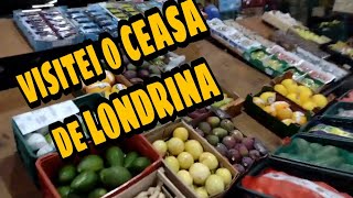 Visitei o CEASA de LONDRINA Pra [upl. by Atnauqal]